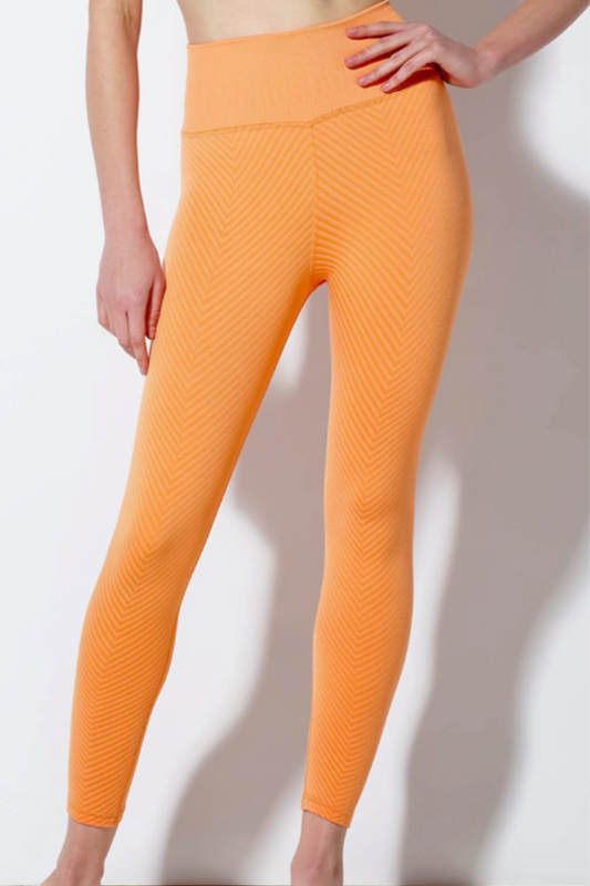 Winter Shayna Chevron Legging